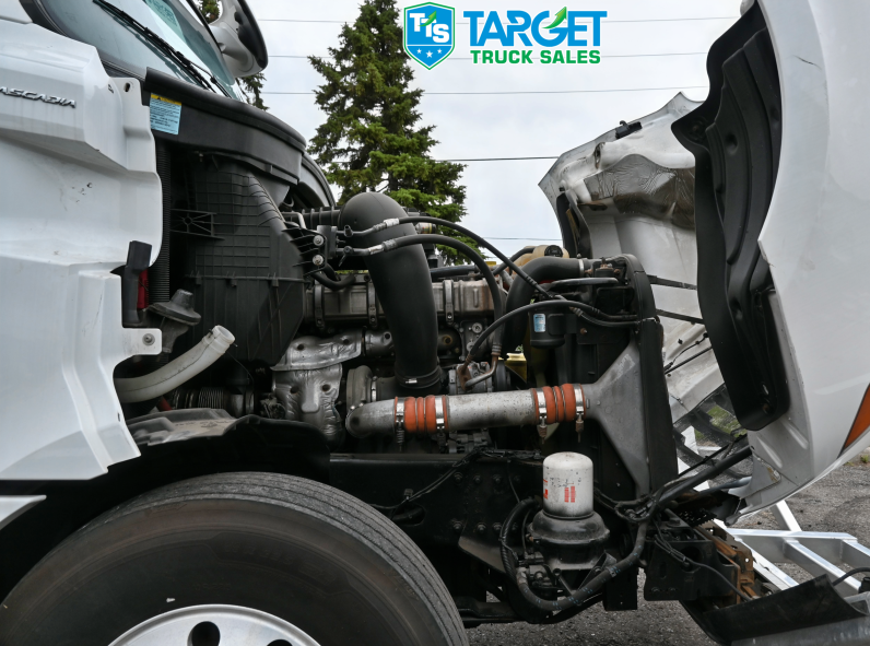 
								2019 Freightliner Cascadia full									